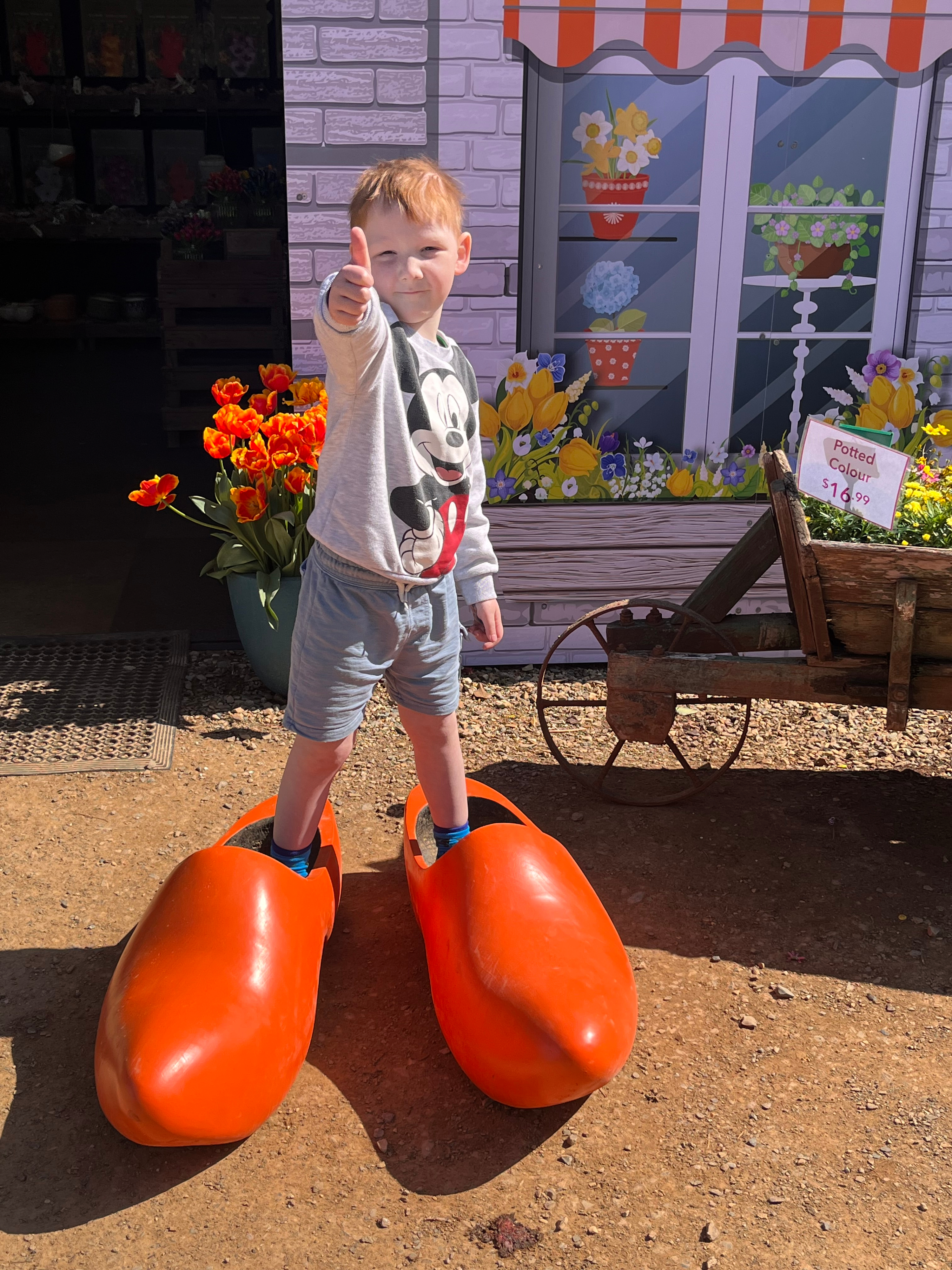Liam's wish images