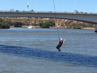 Mandy Fish Goodwill Bridge hanging
