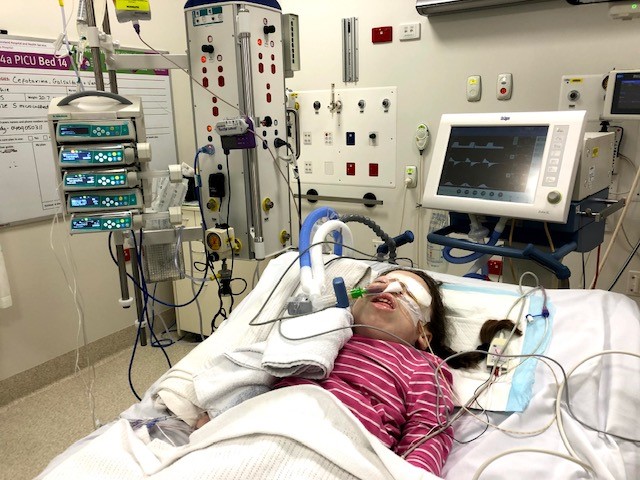 Sophie after eye surgery