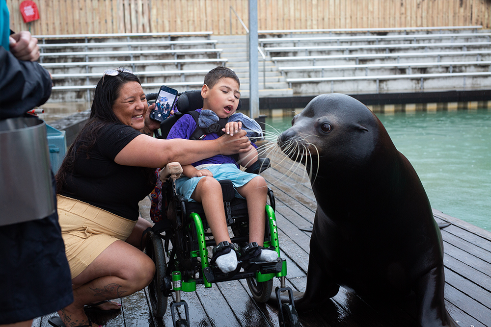 Braxton at Sea World with seal
