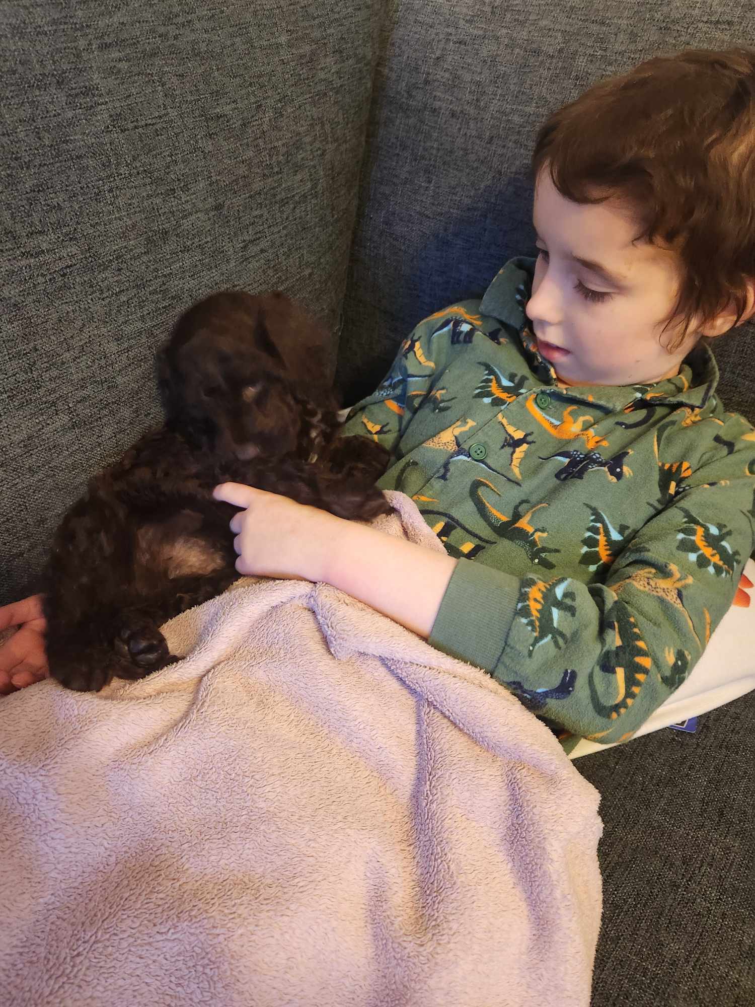 Evie with her puppy wish