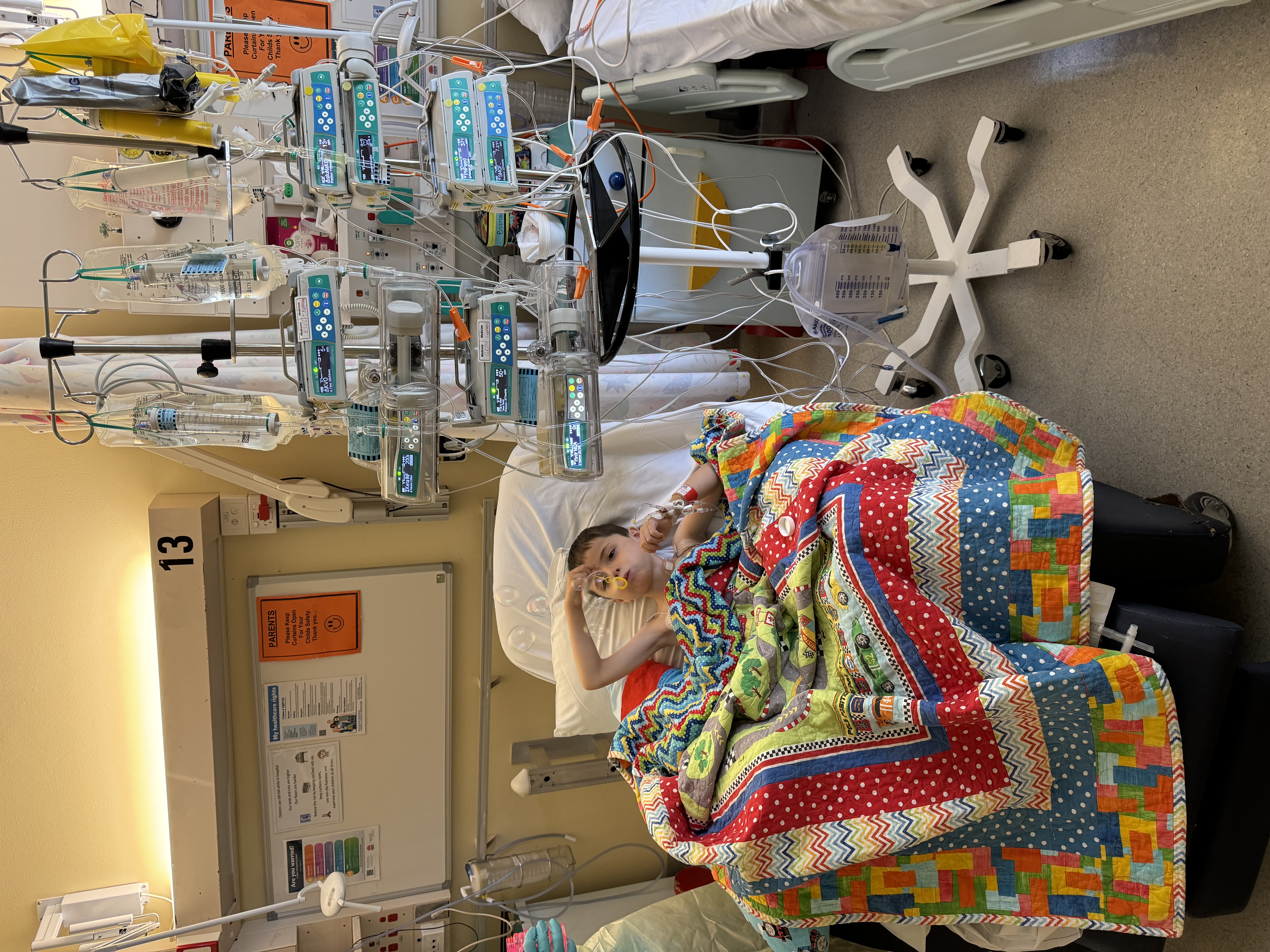 Boston in hospital room