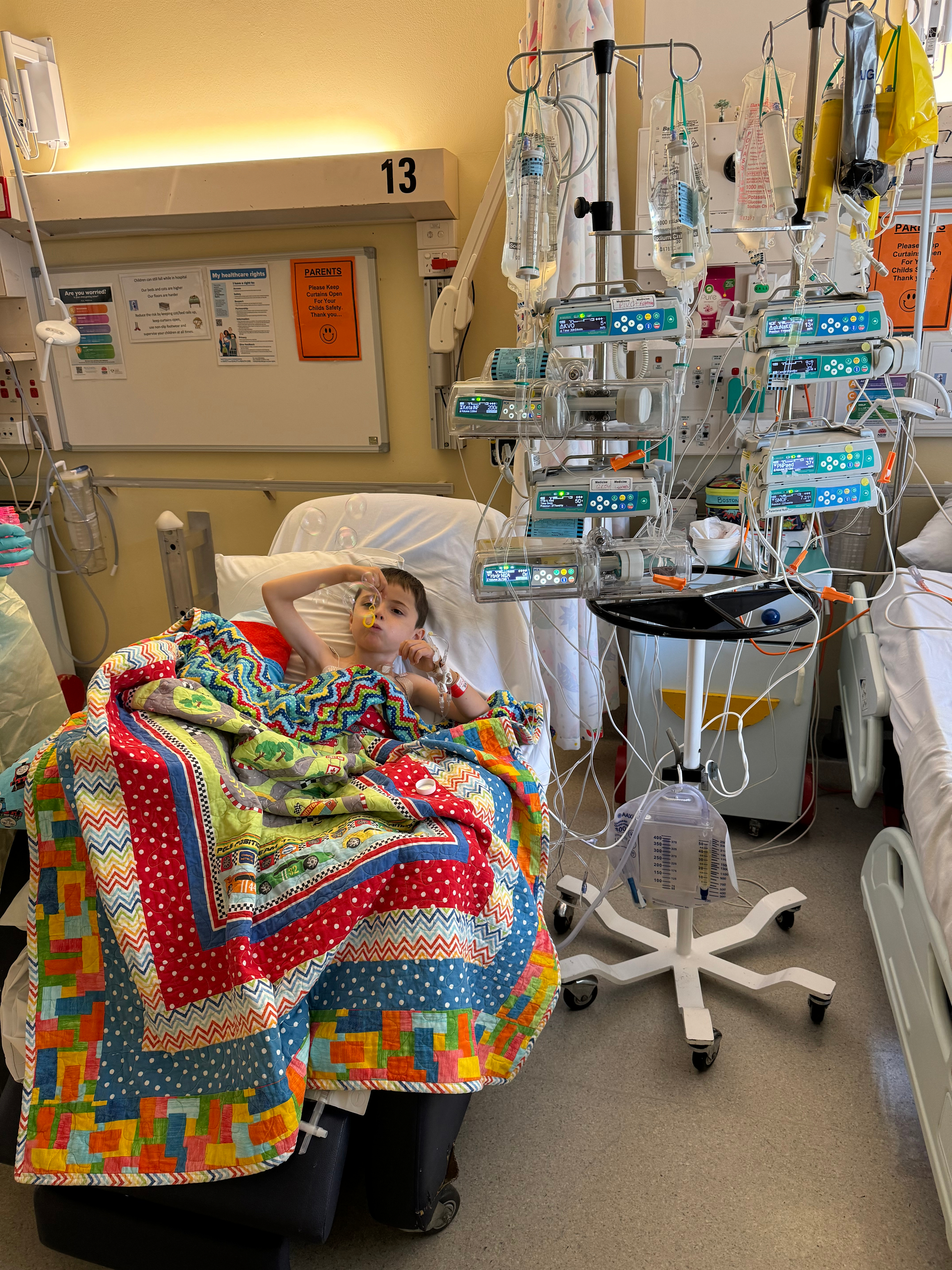 Boston in hospital room