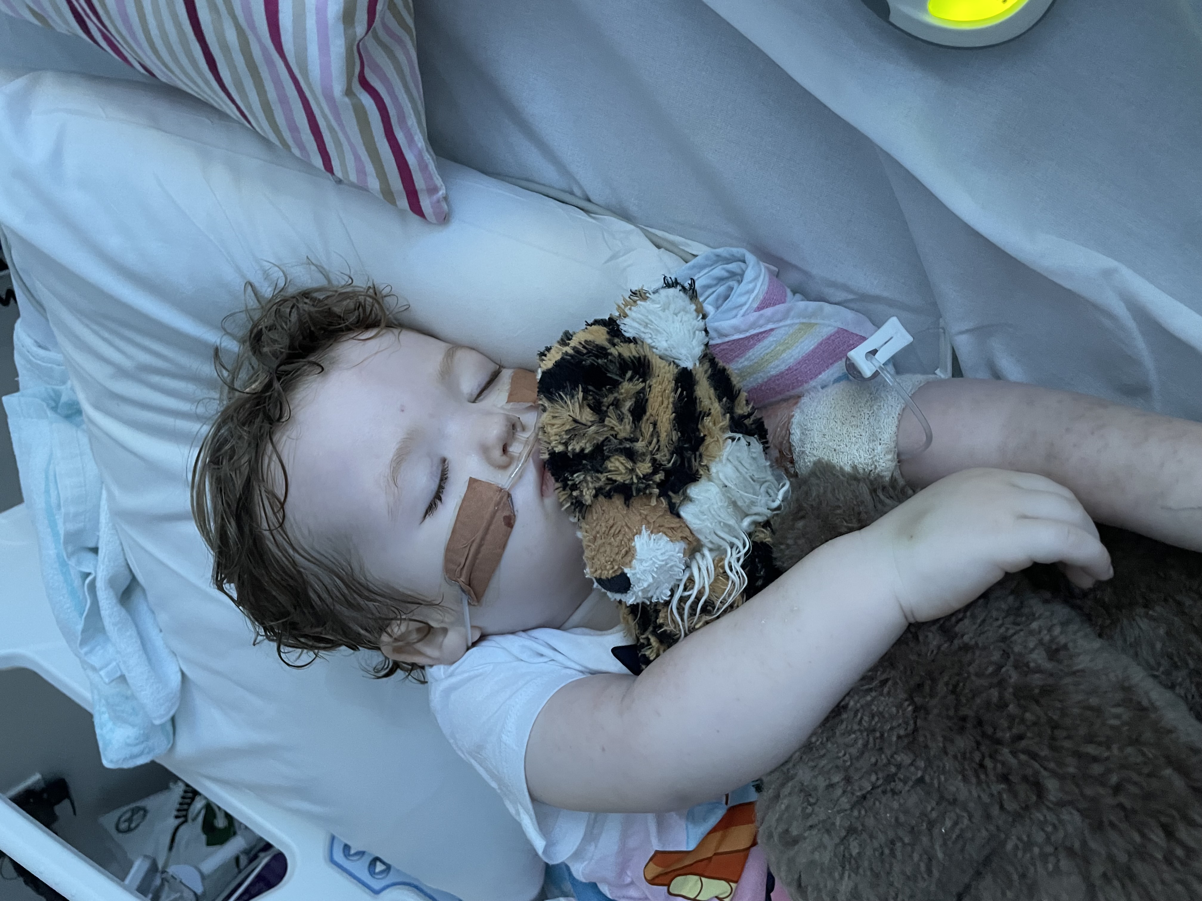 Teddy during treatment first few days
