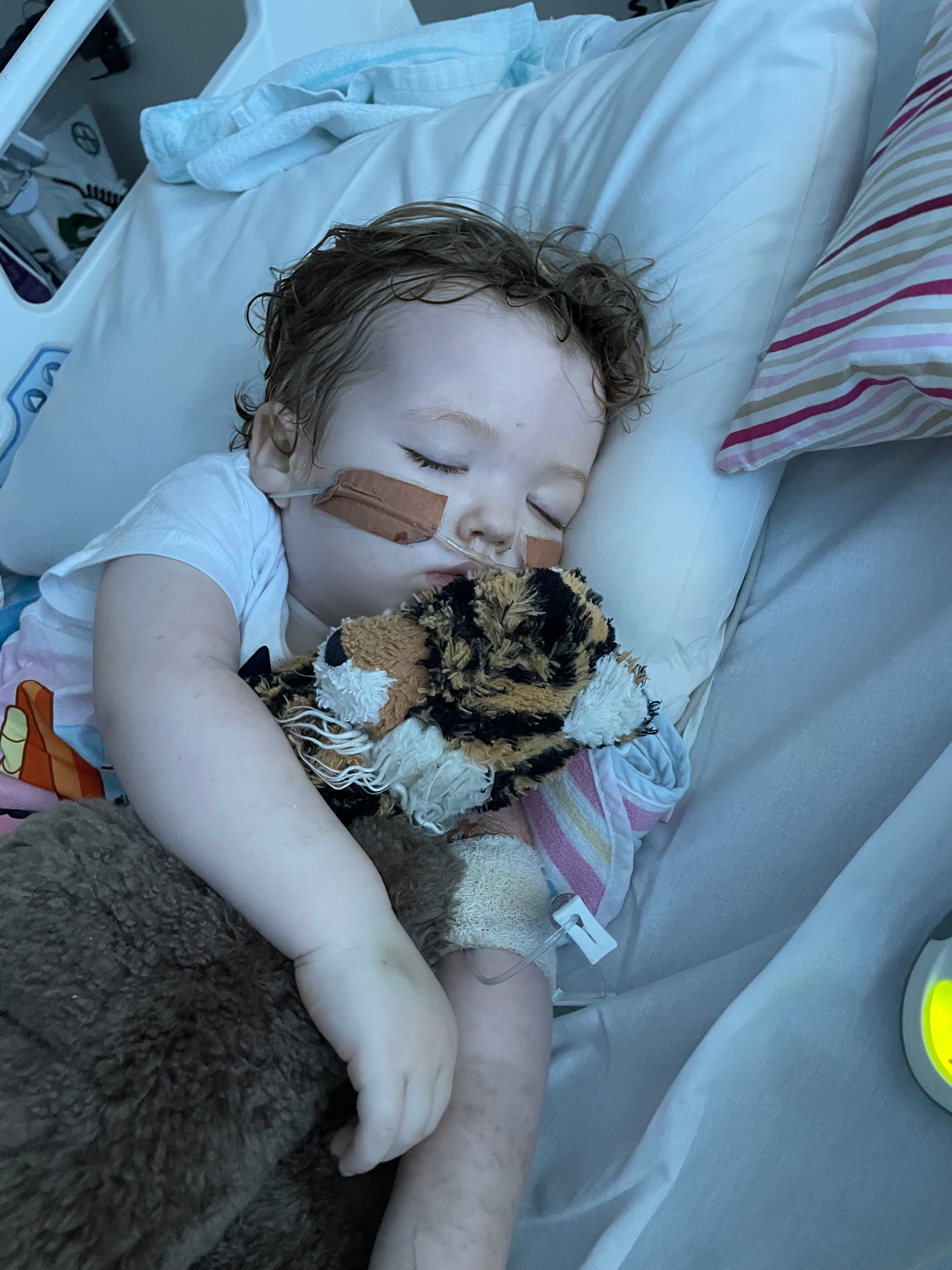 Teddy during treatment first few days
