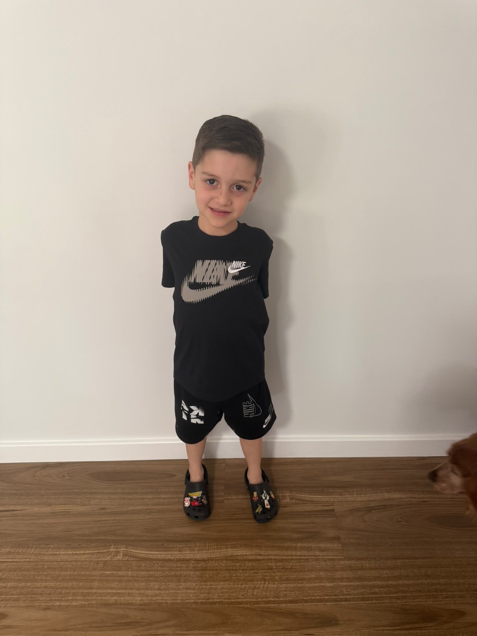 Little Vincent