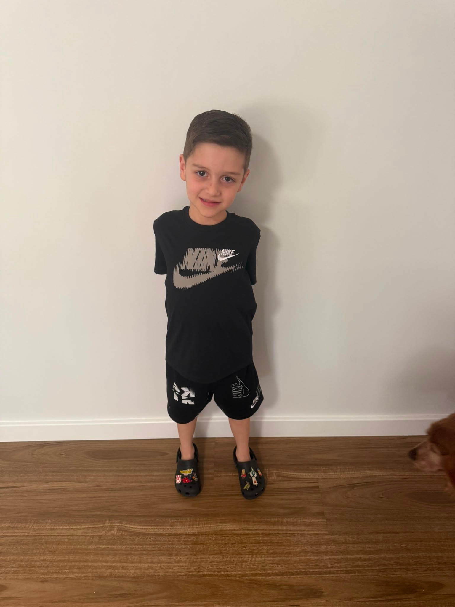Little Vincent