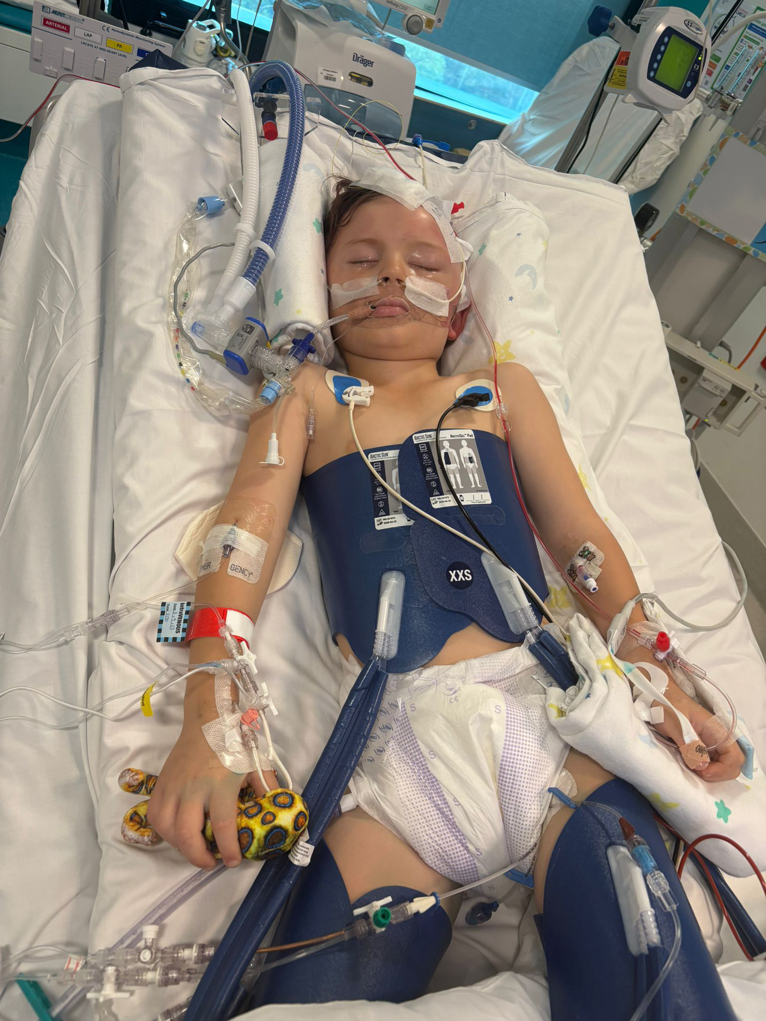 Beau in hospital bed