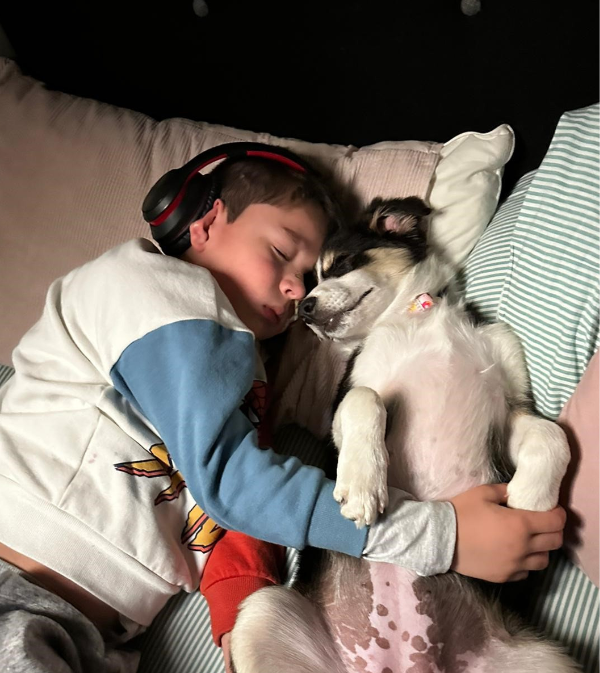 Arlo's story - image 7