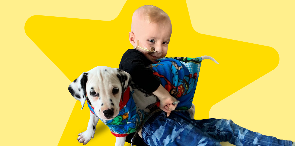 Hunter and puppy - yellow background