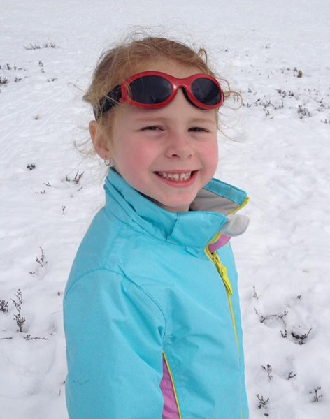 Rose at the snow