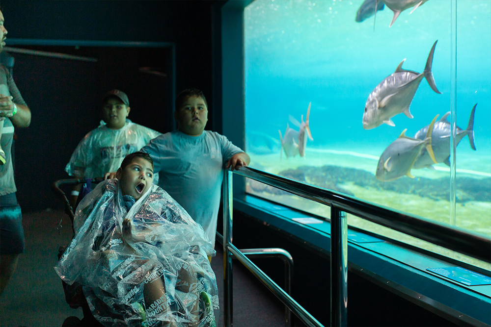 Braxton at Sea World aquarium
