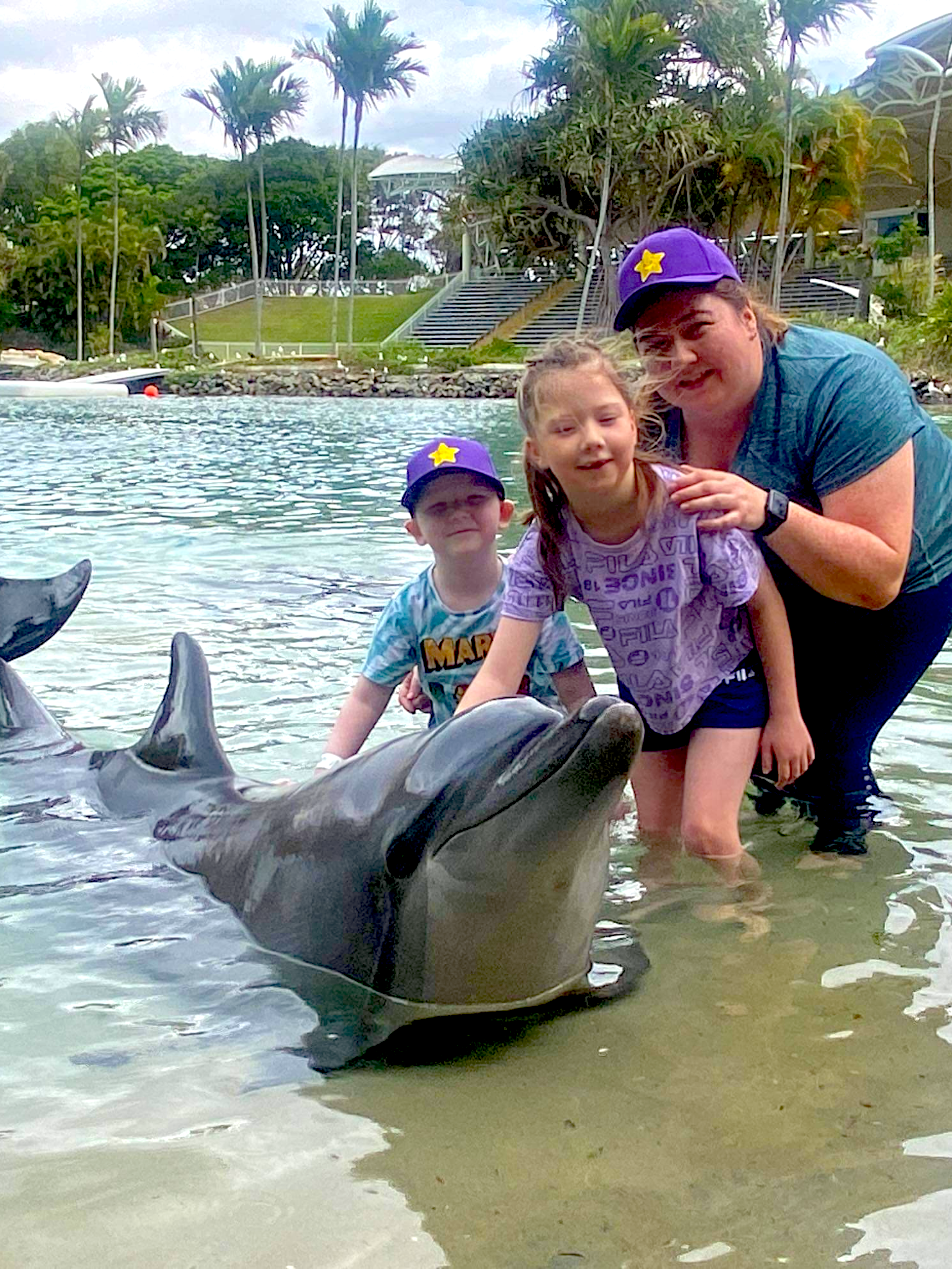 Liam's wish - dolphin
