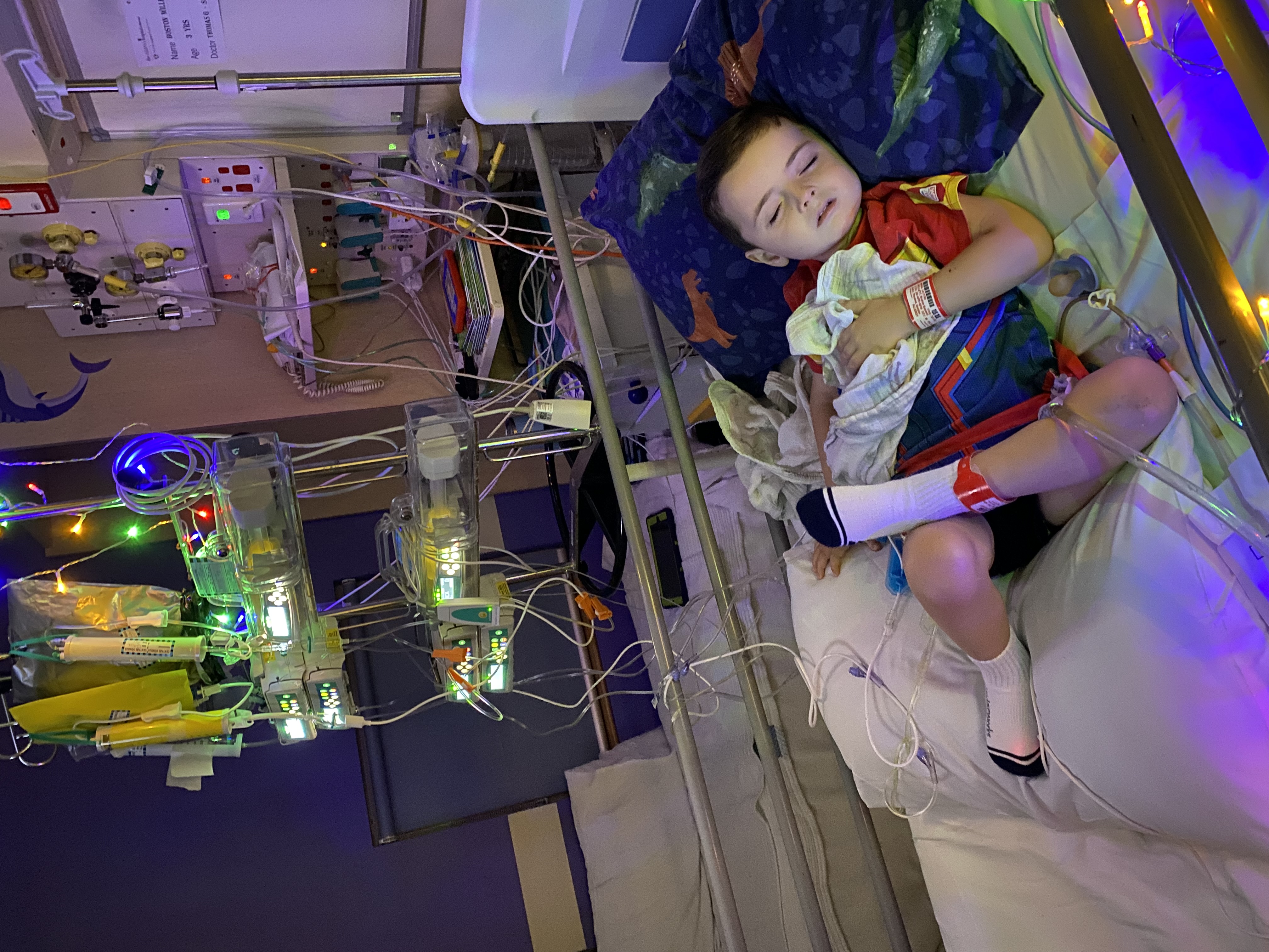 Boston in hospital bed