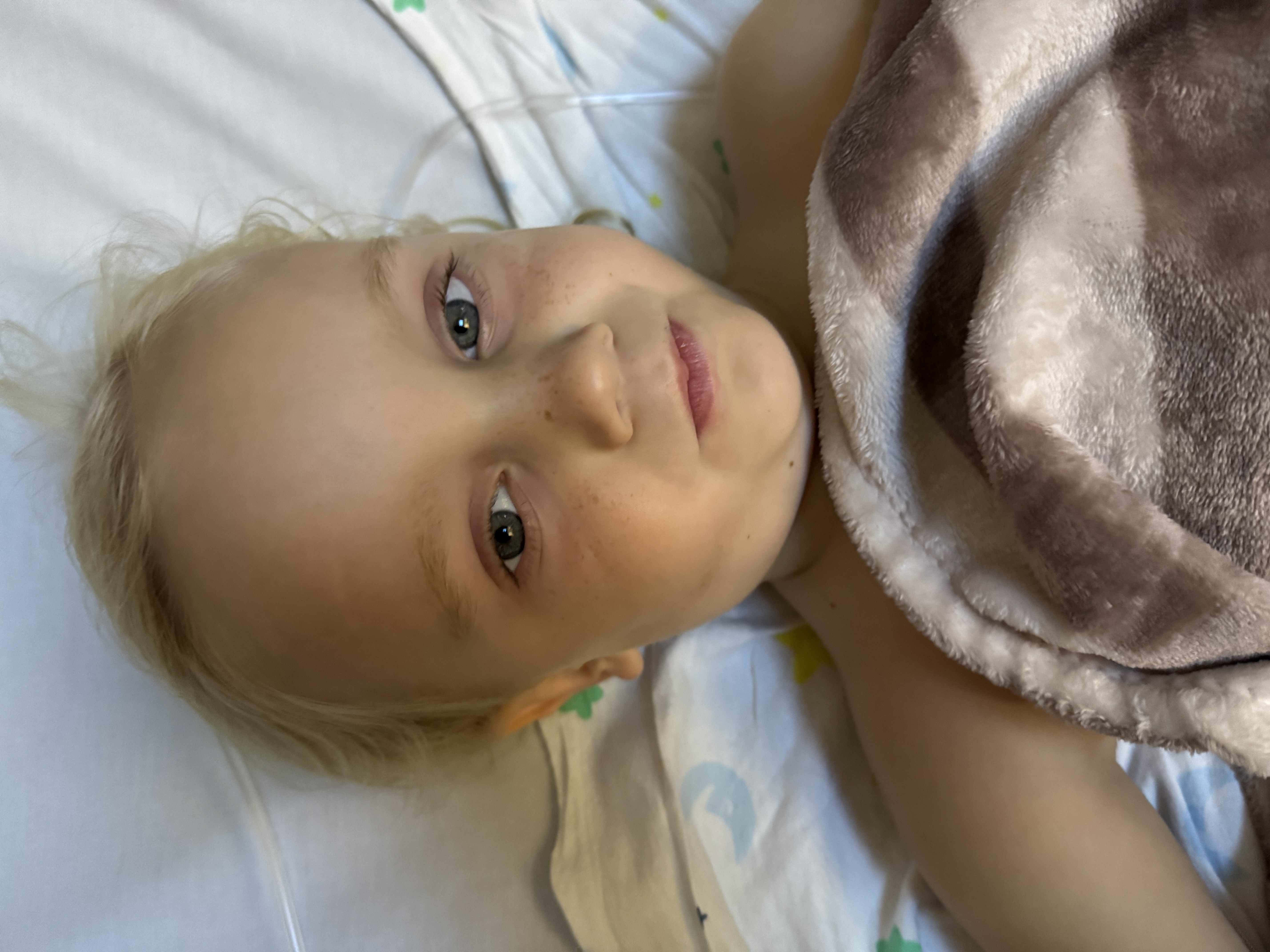 Rocco - in hospital