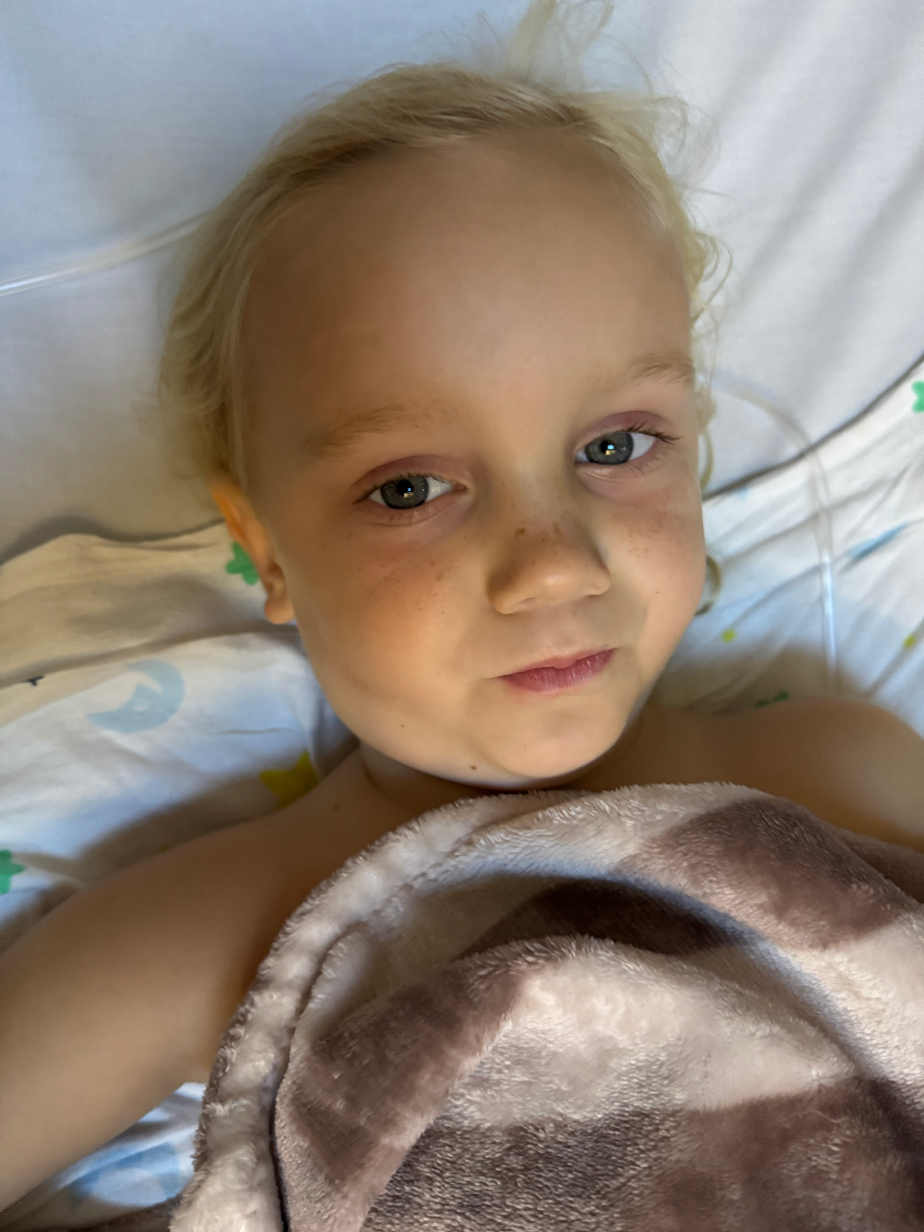 Rocco - in hospital