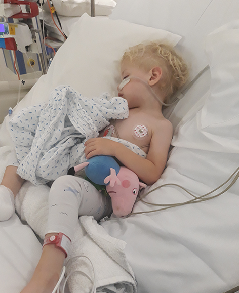 Marley sleeping in hospital