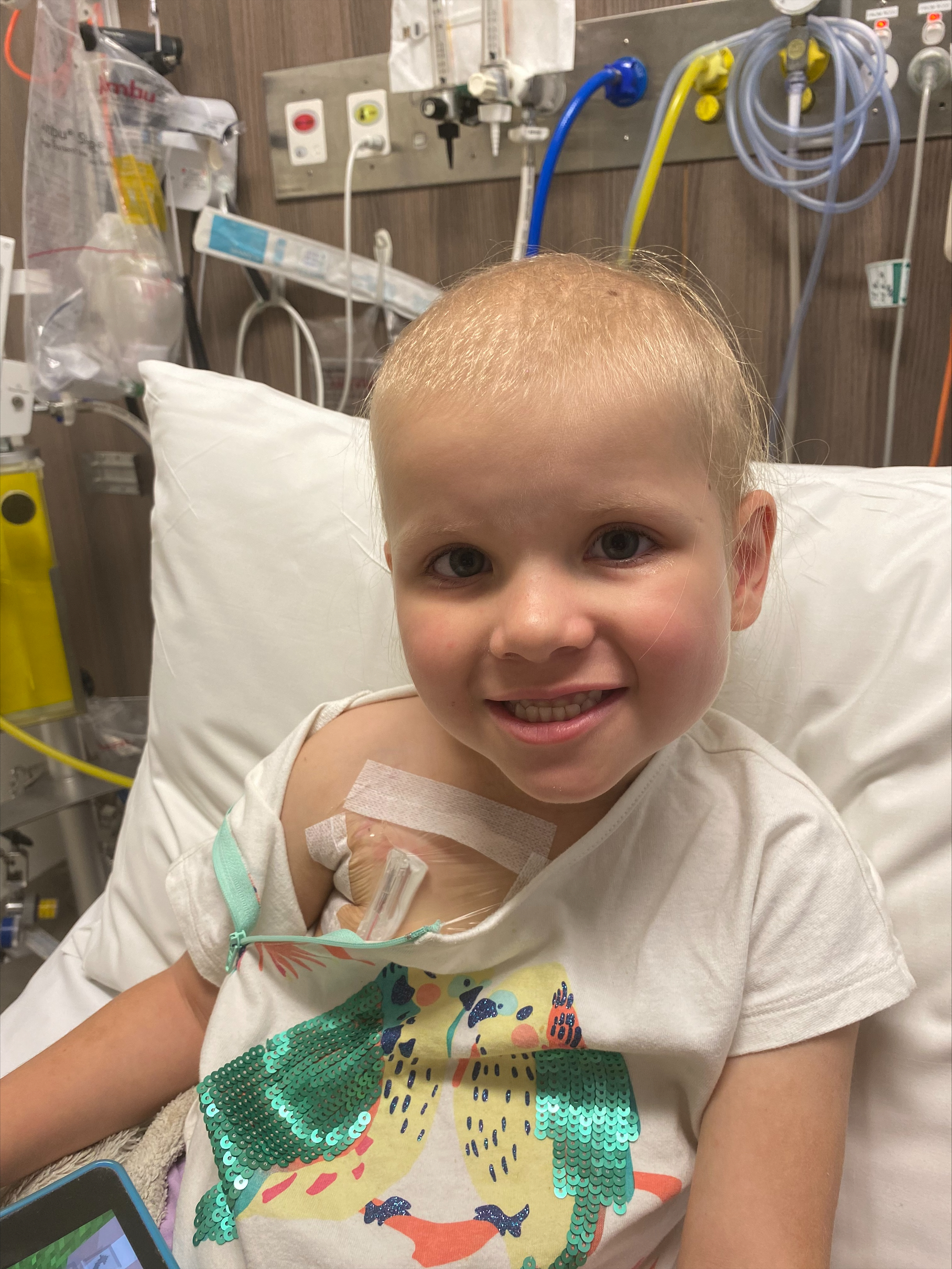Roxy during treatment