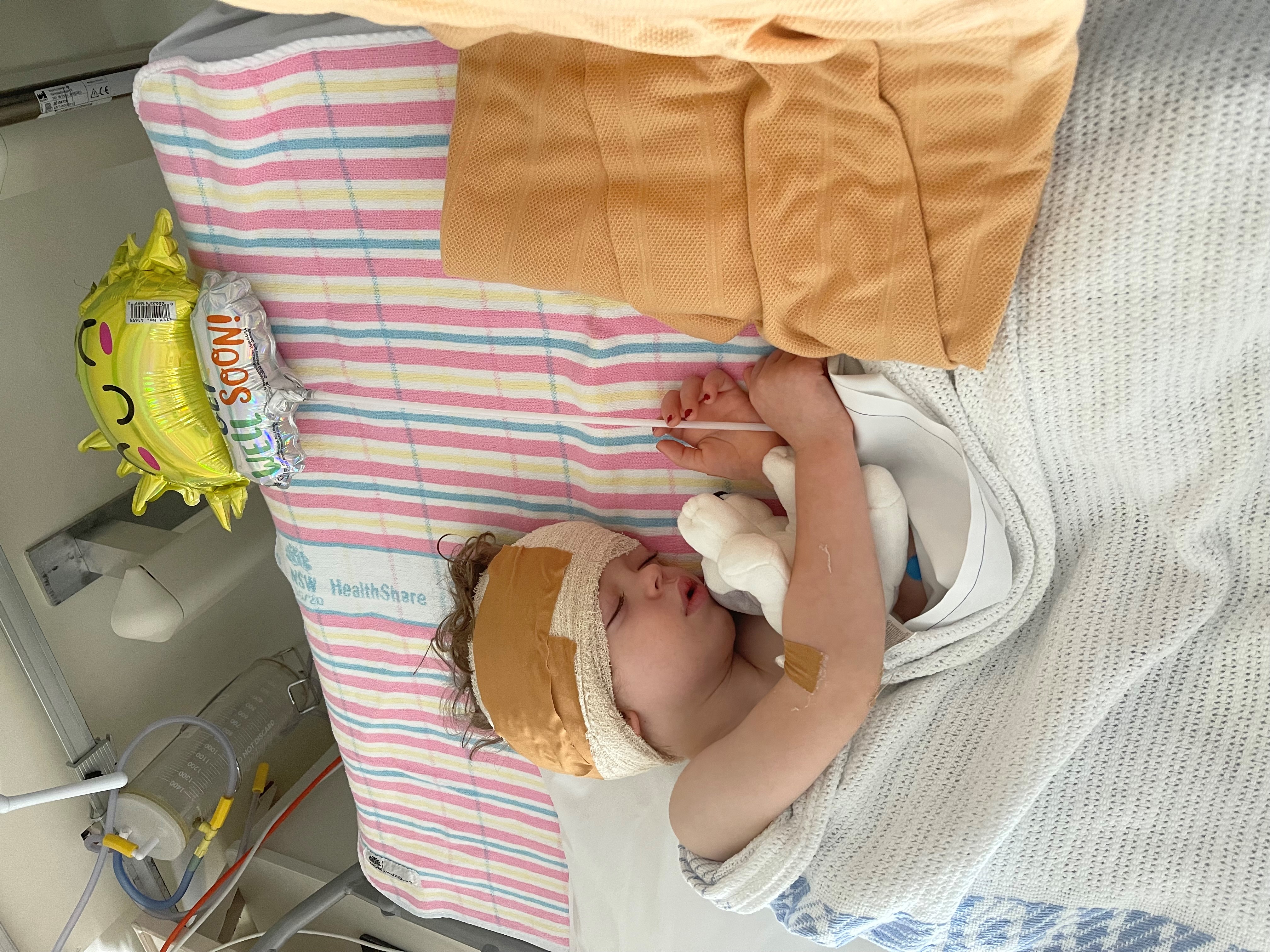 Jagger sleeping in hospital bed with head bandaged