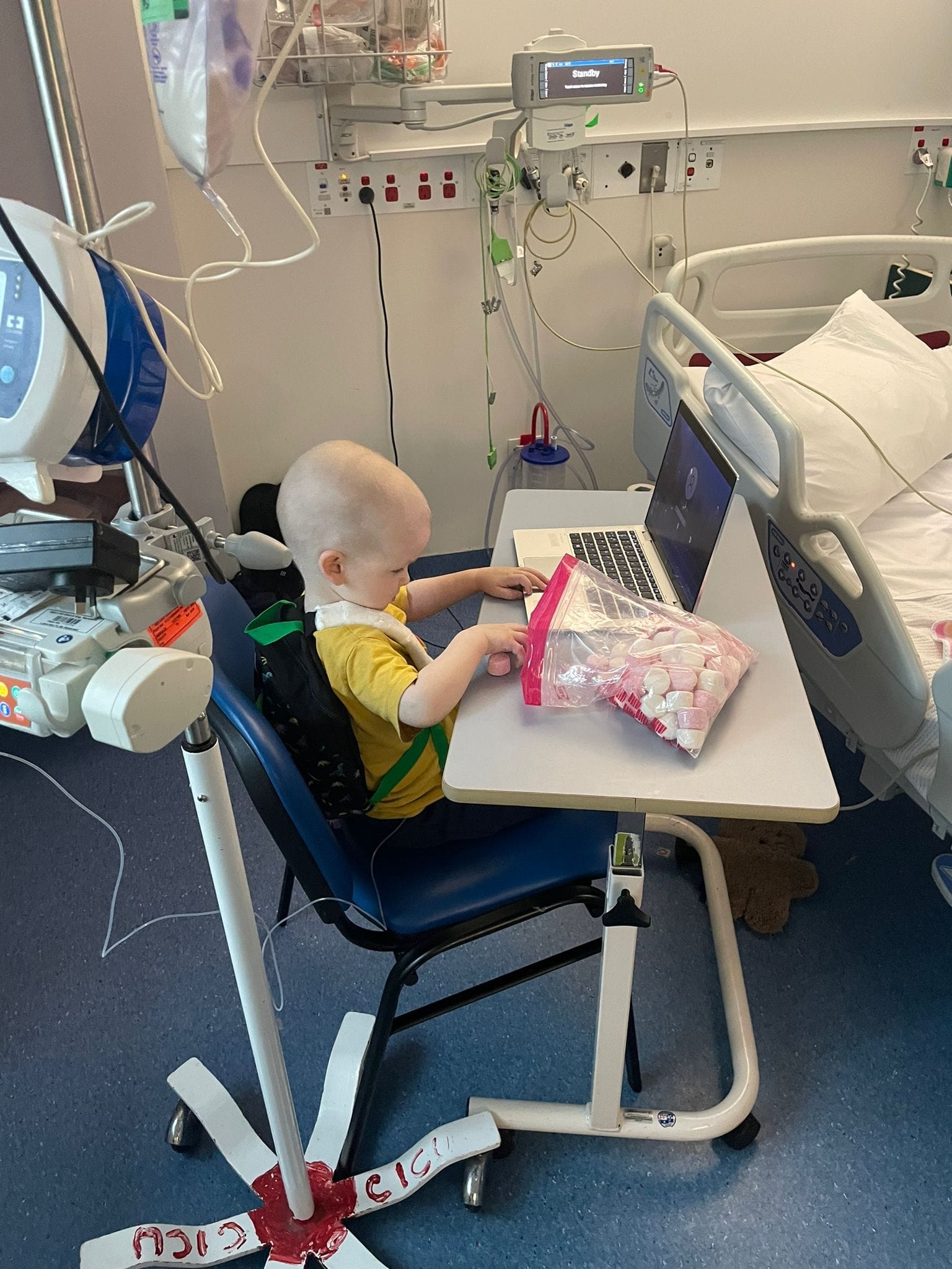 Teddy in hospital