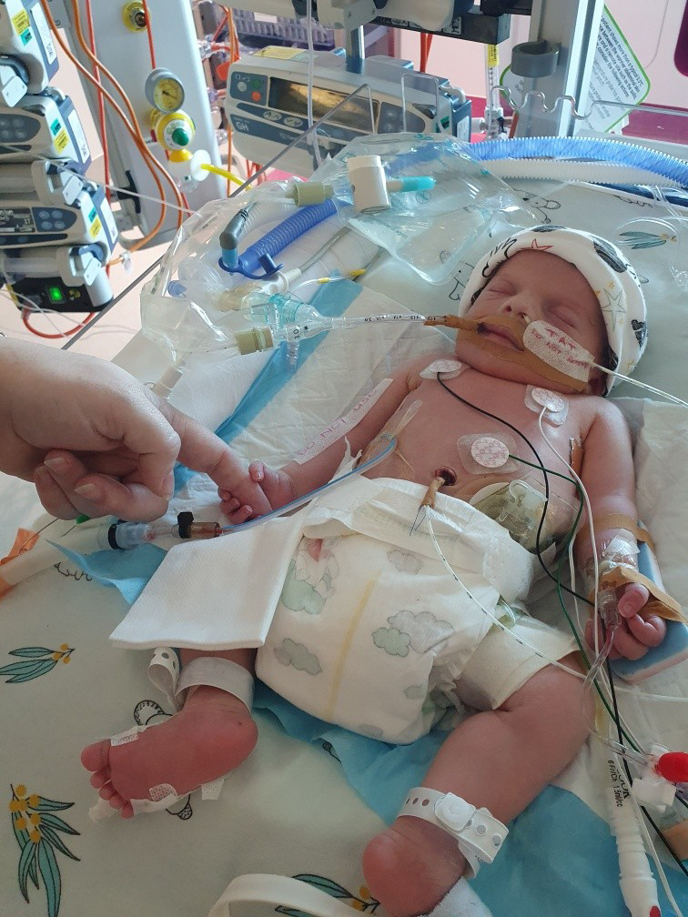 Theo being monitored in hospital