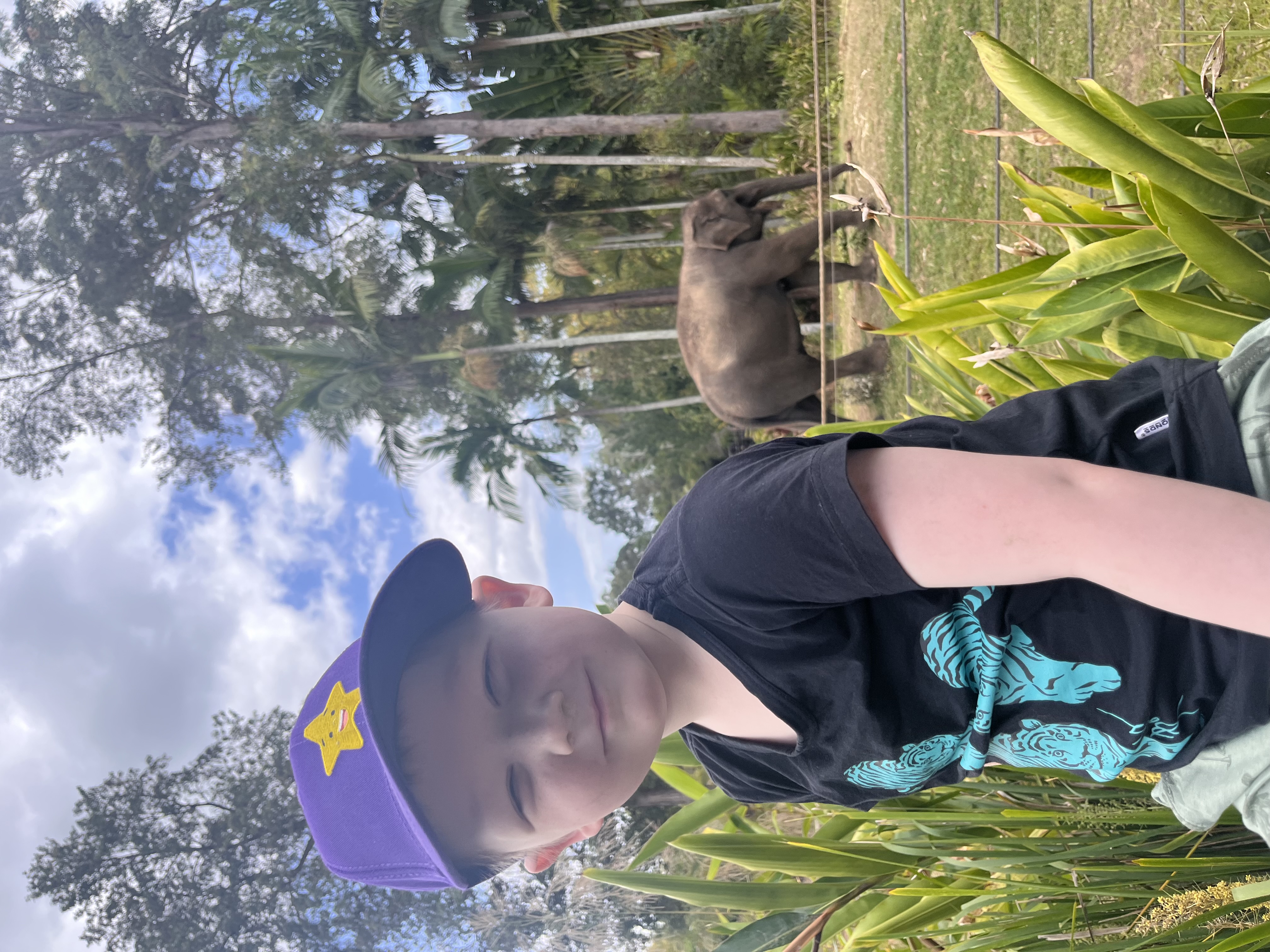 Liam's wish images - Zoo