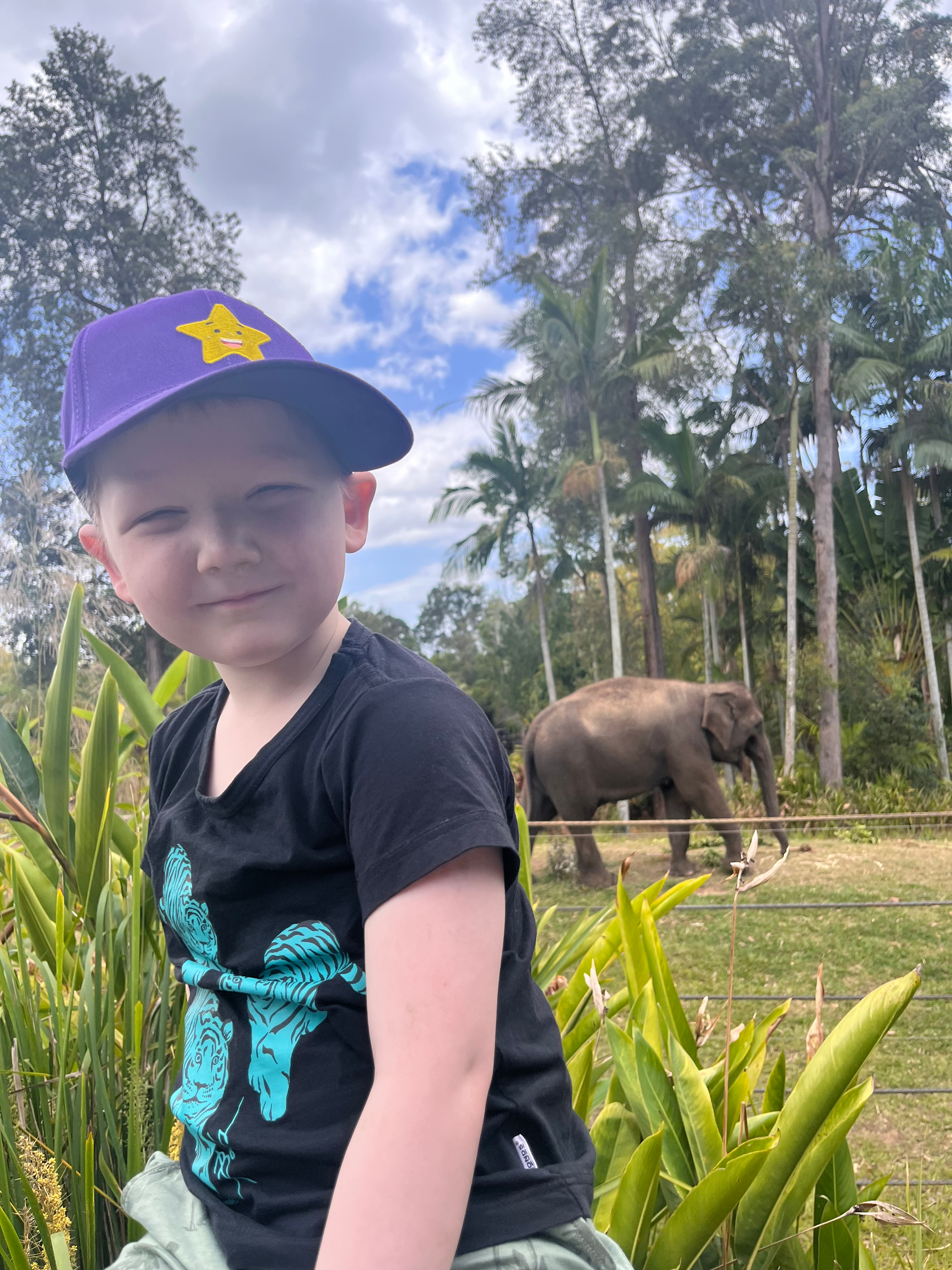 Liam's wish images - Zoo