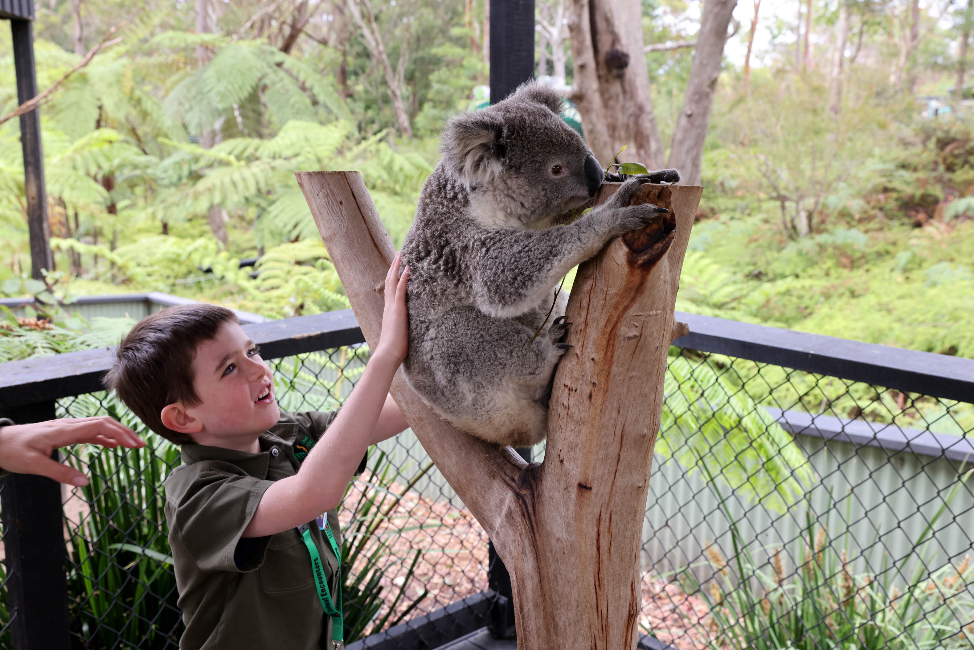Mack with koala