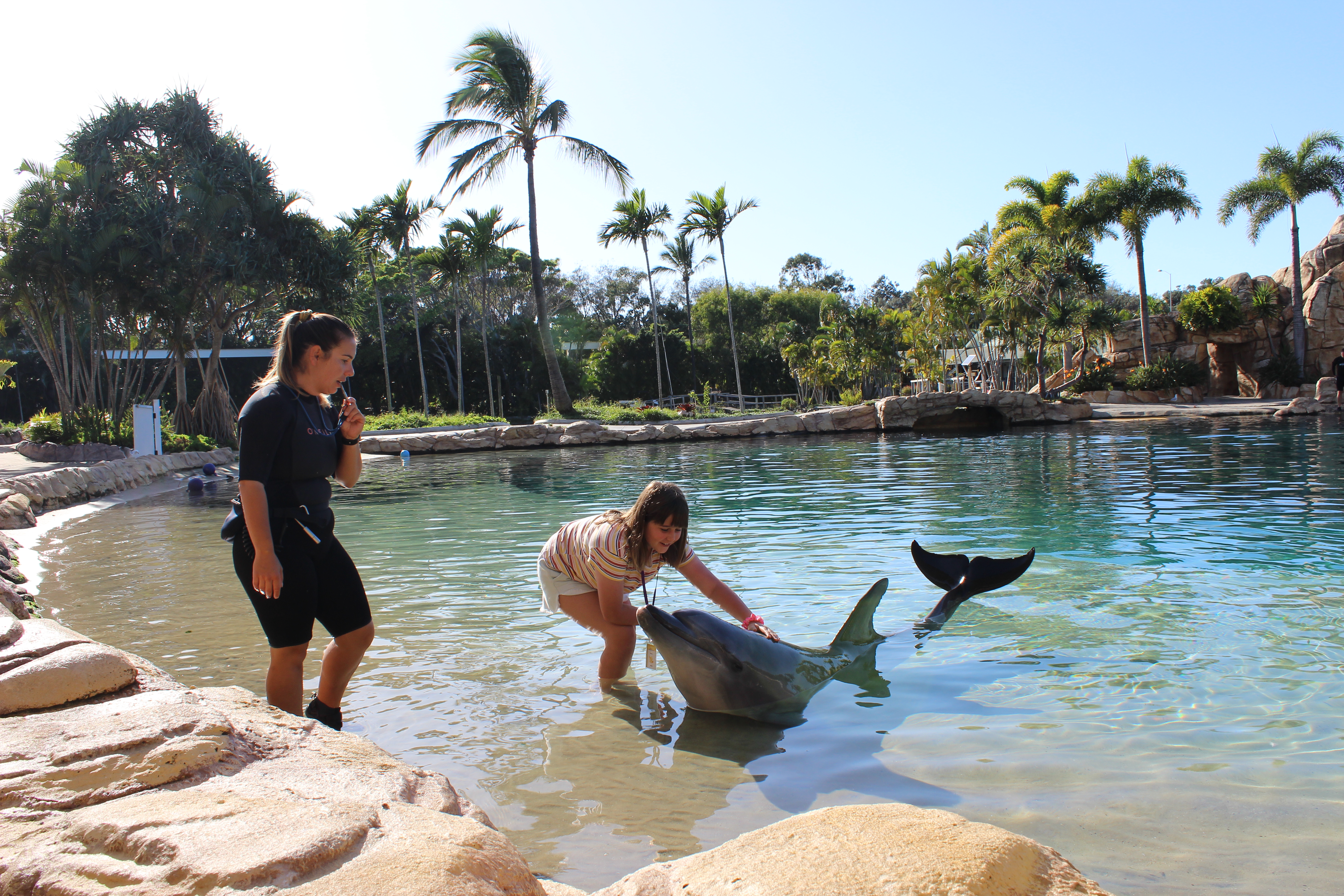 Rose with dolphin at her Starlight Wish