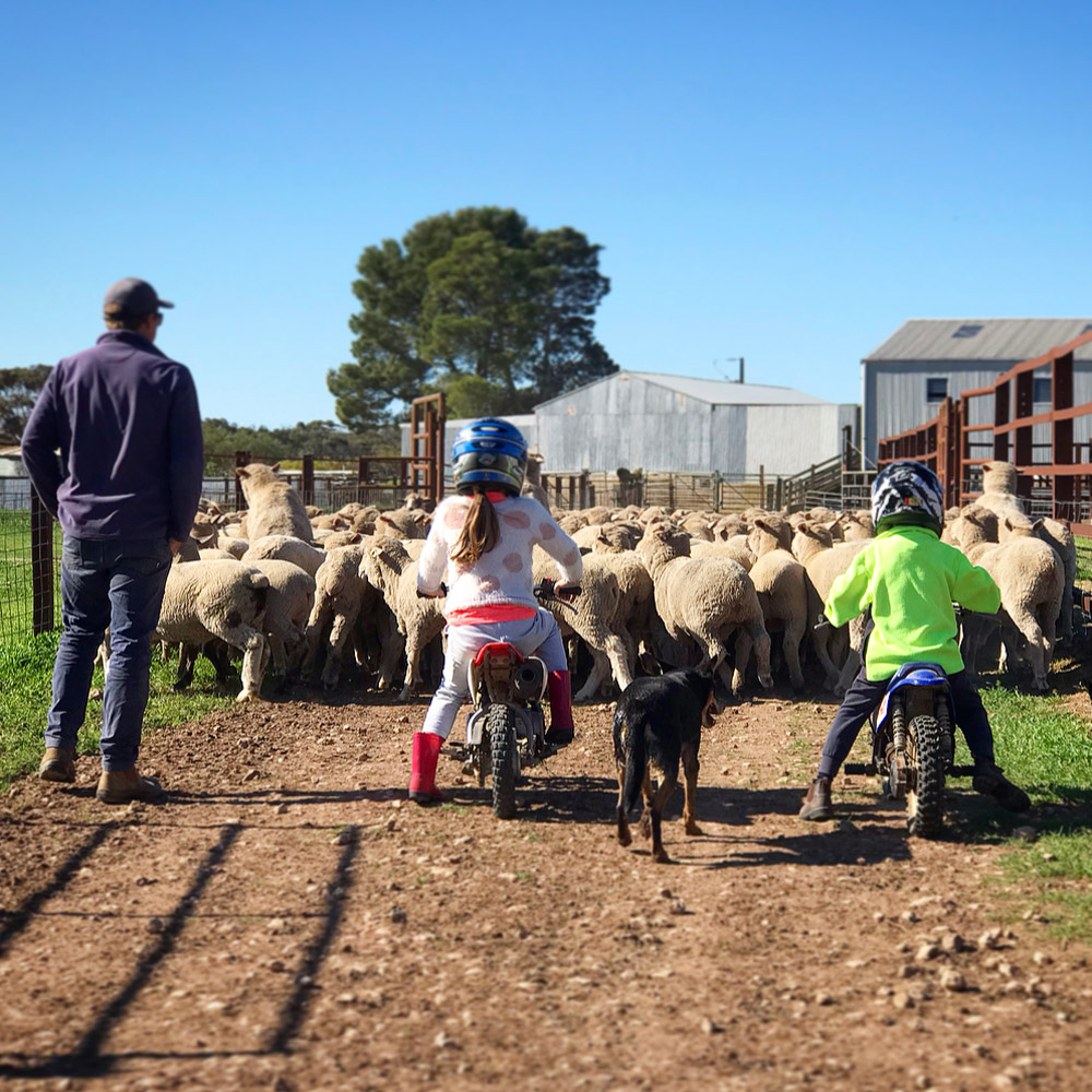 Bill and family on the farm