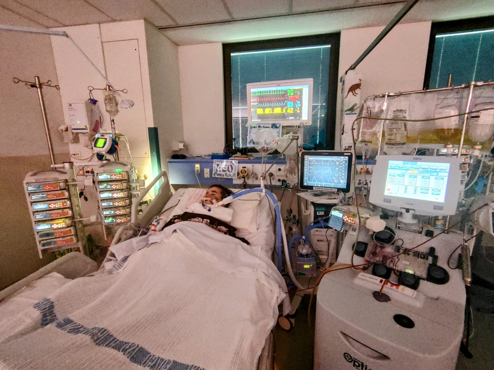 Leo in hospital bed