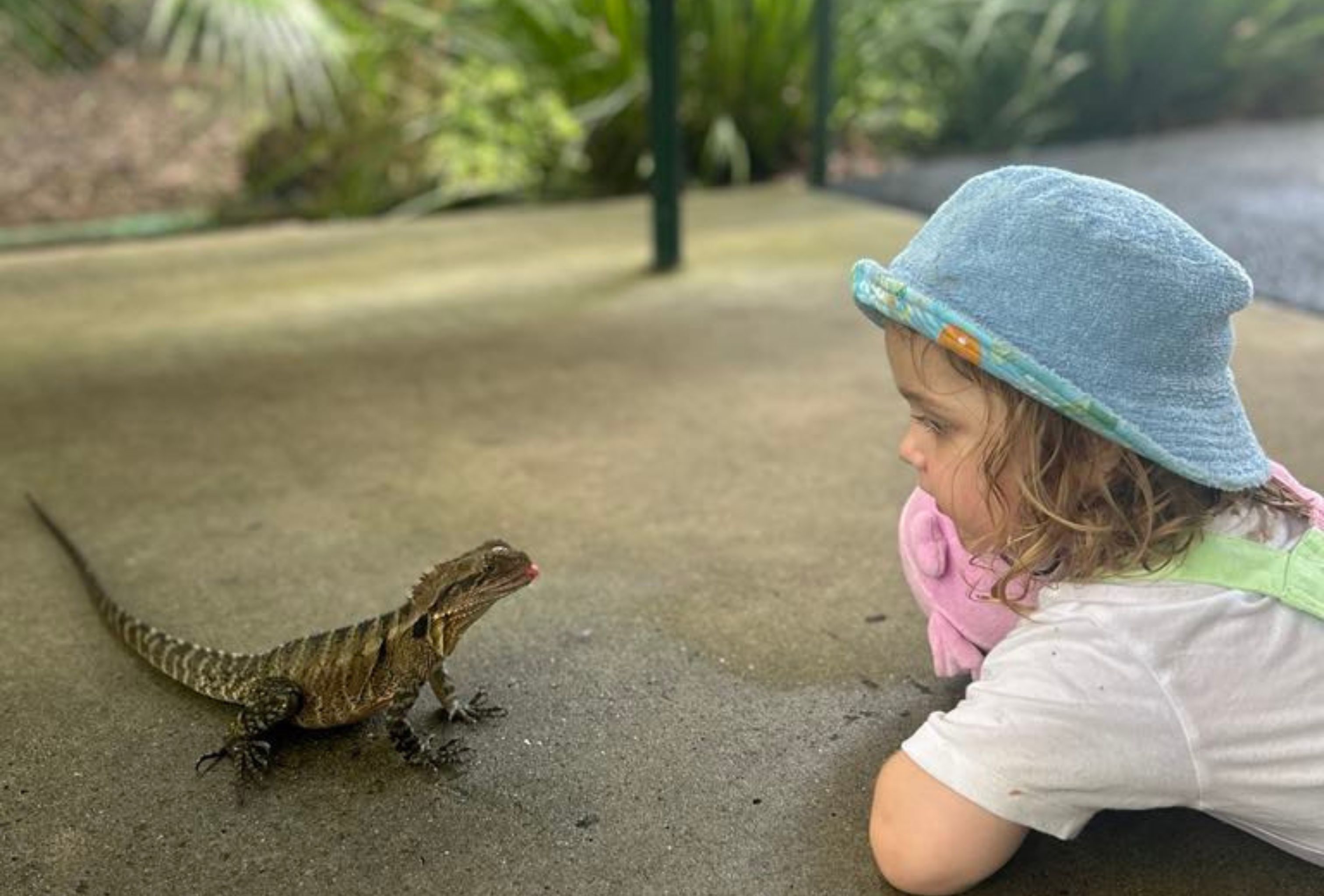 Lottie with a Lizard