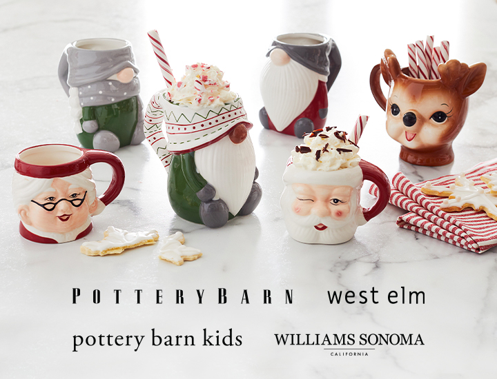 Williams Sonoma christmas banner with logos