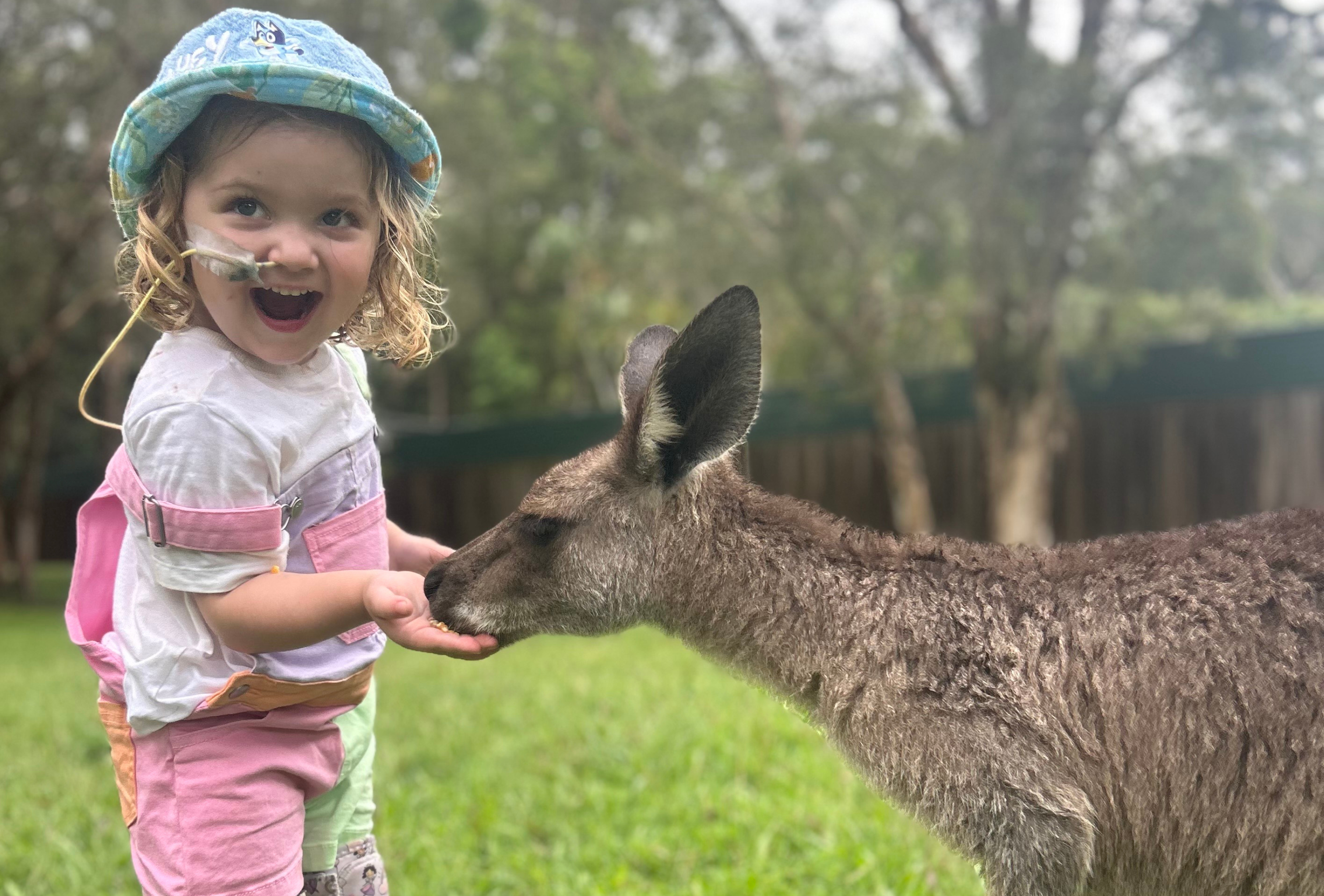 Lottie feeding Kangaroo
