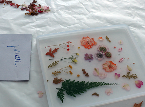 Dried flower art