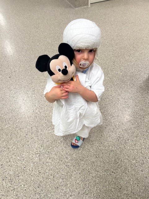 Leo and micky mouse