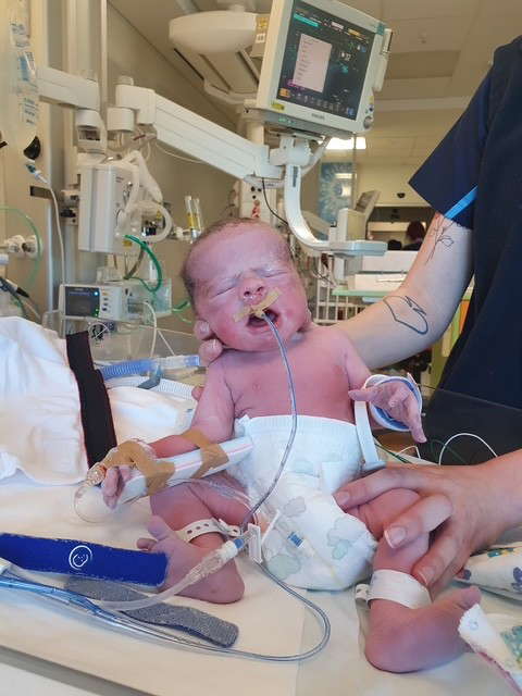 Theo being tested in hospital