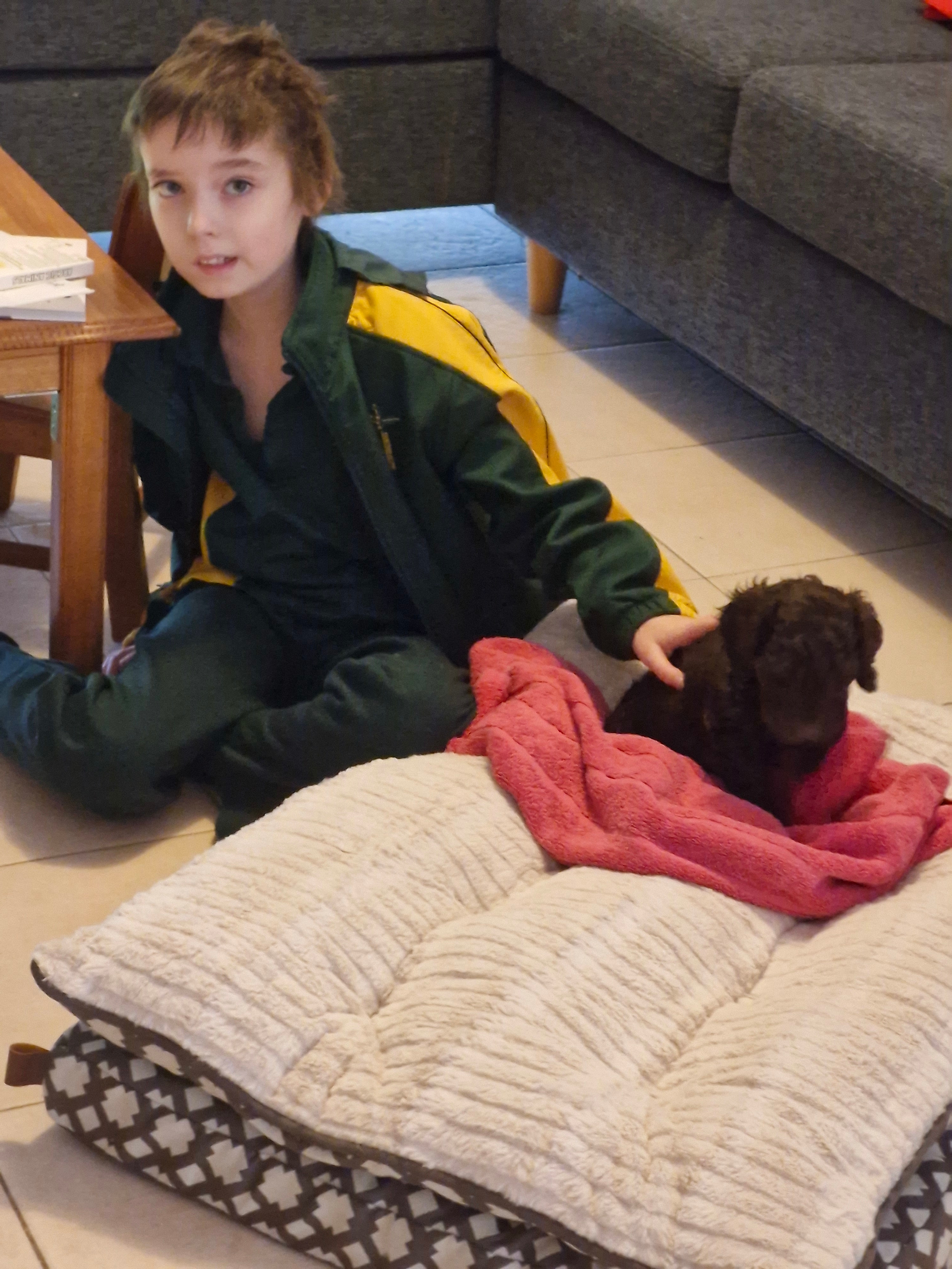 Evie wish puppy