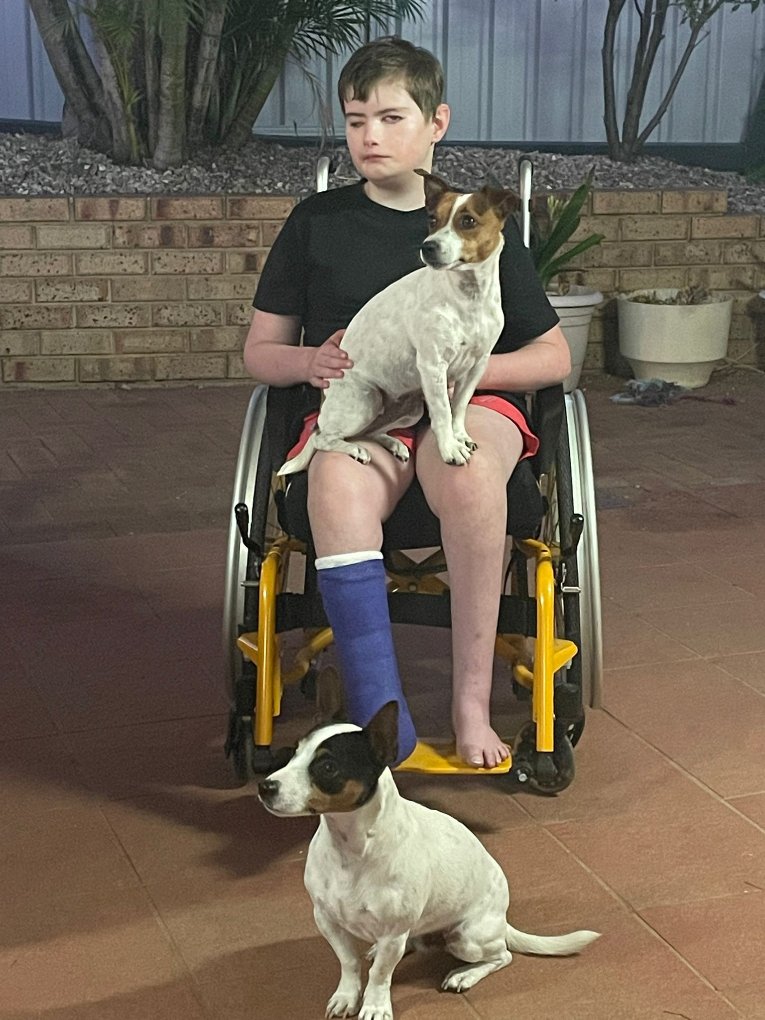 Brady in wheelchair