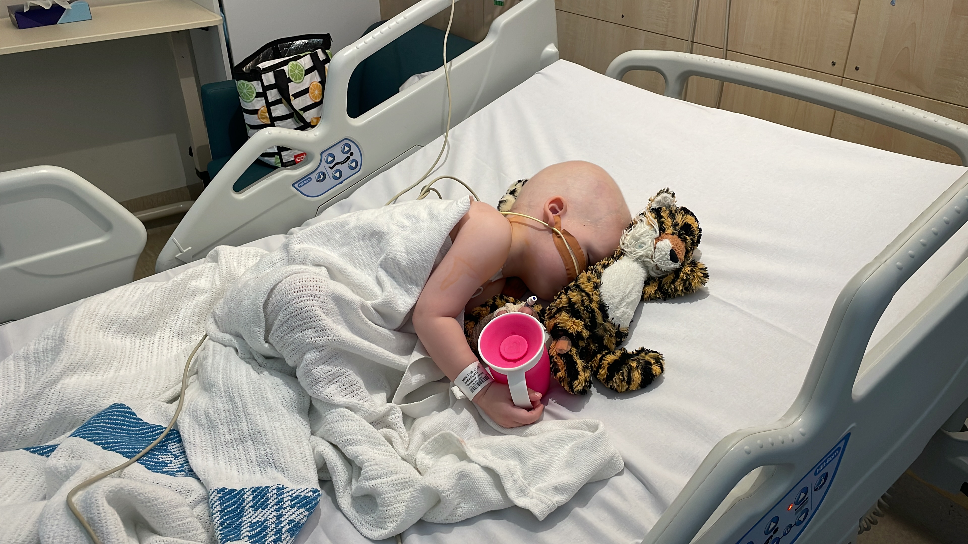 Teddy in hospital bed