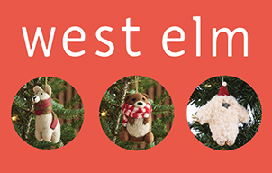 west-elm-christmas-card