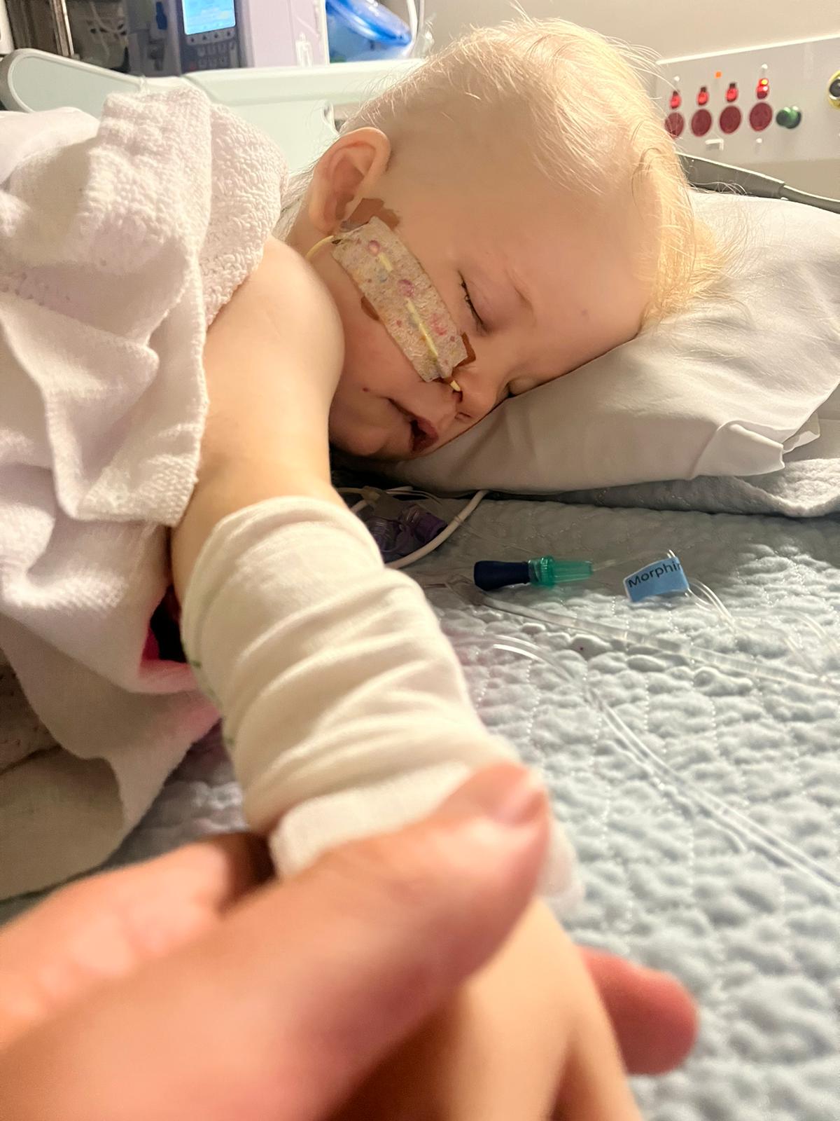 Lexi during treatment