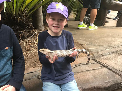 Will holding lizard