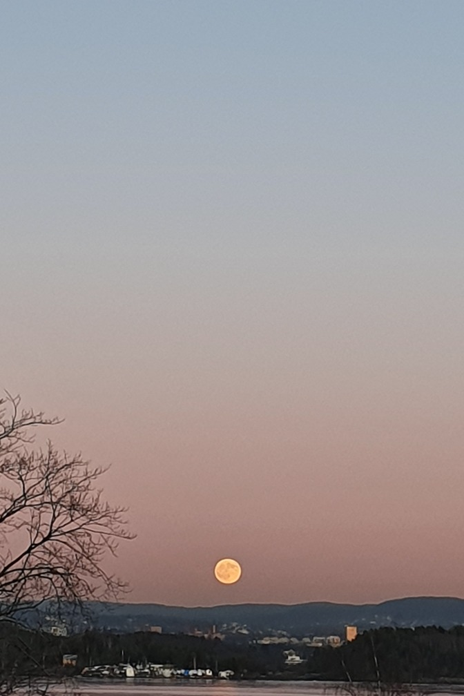 Rising moon