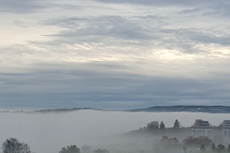 Description: View from the office