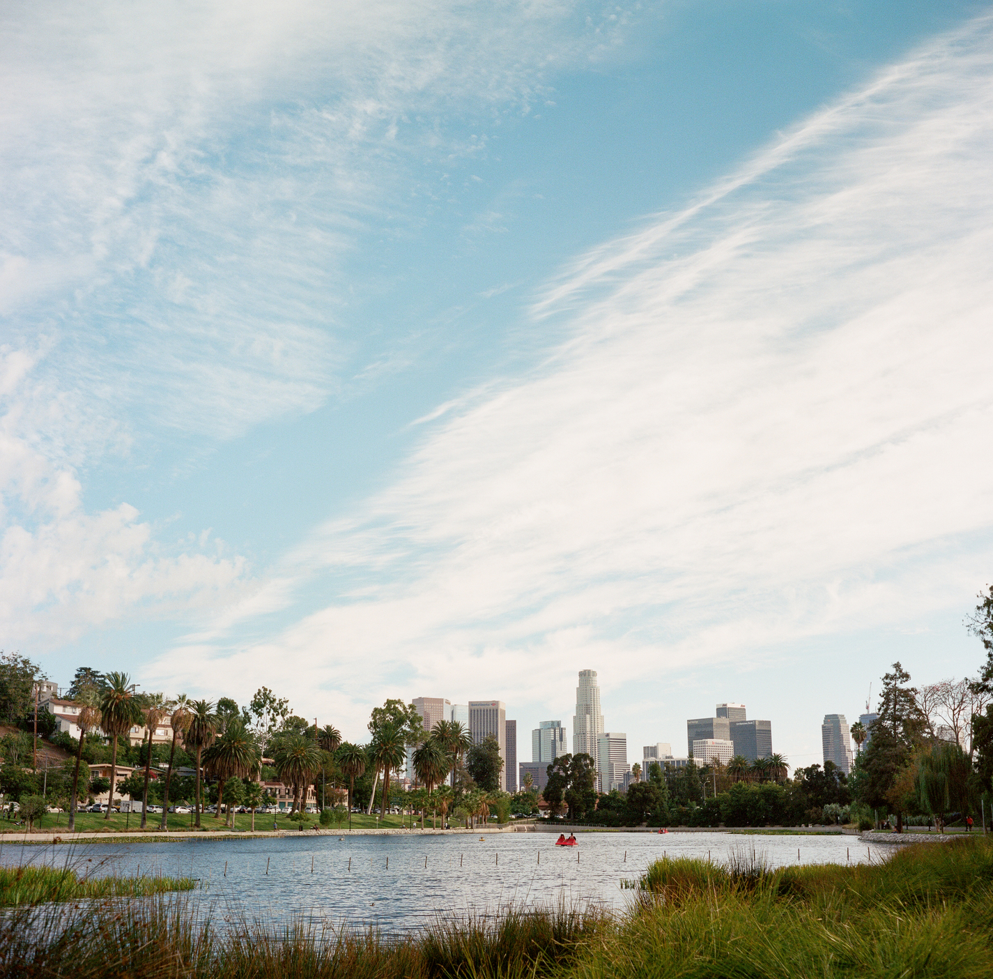 A photo of a pond in Echo park during the daytime with the LA skyline in the background