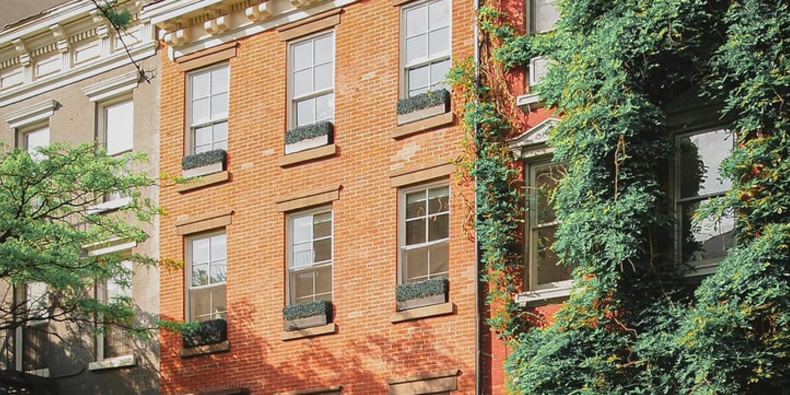 An image of brown brick apartment covered in ivy with beautiful square windows 
