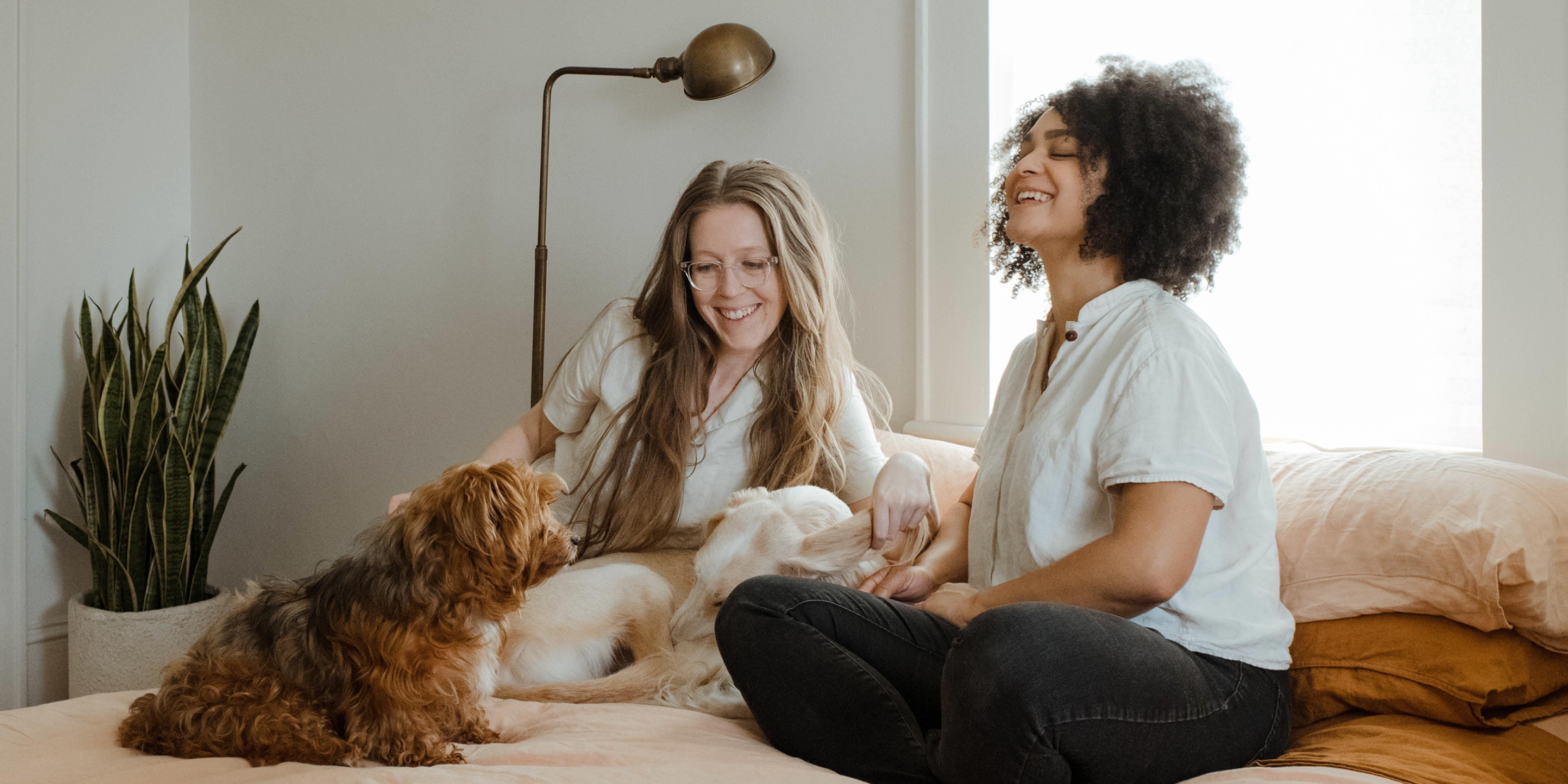 Hero image of two renters relaxing with their dog 