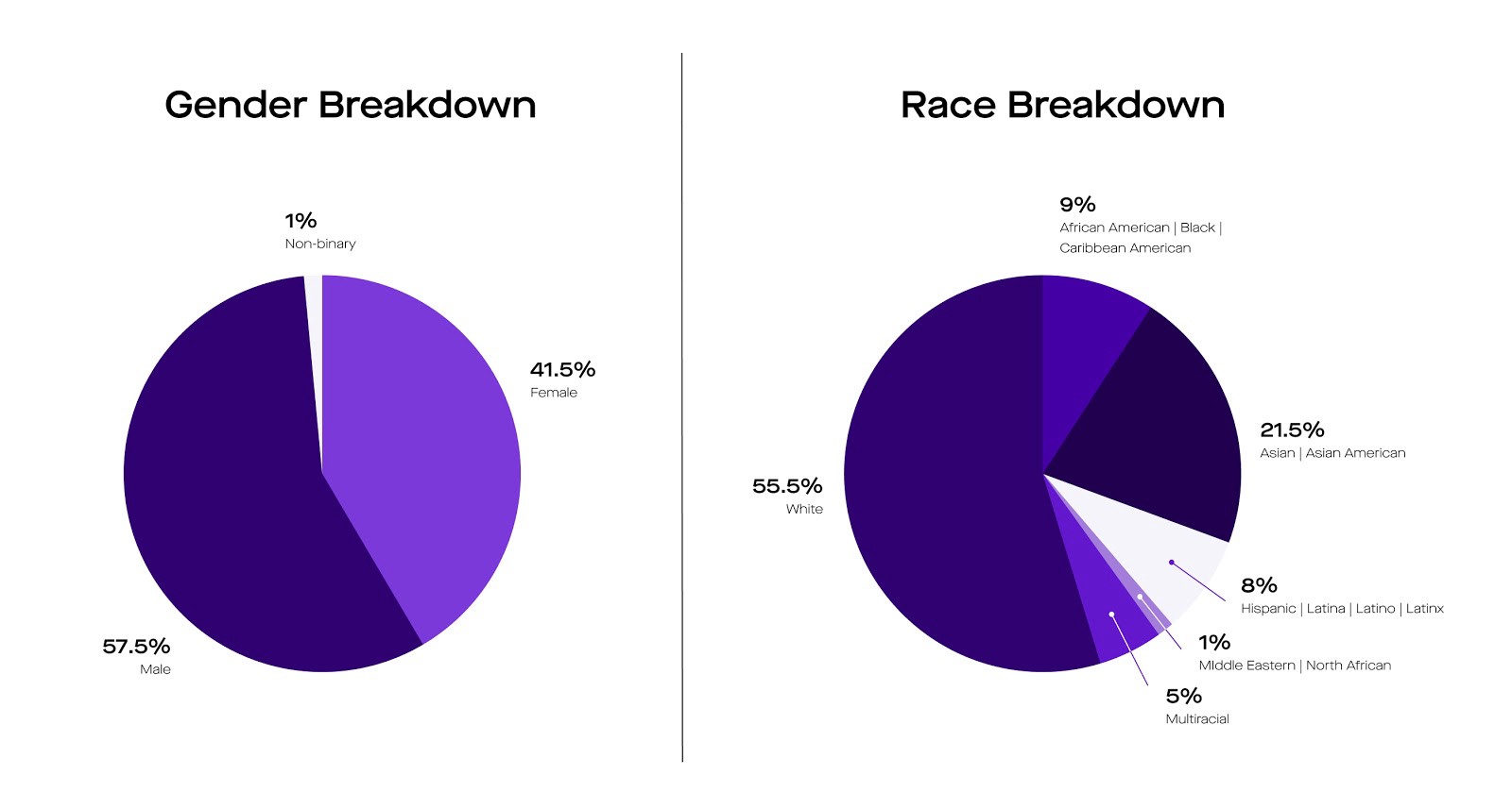 Pie chart graphics featuring demographics including the gender breakdown and race breakdown for Rhino