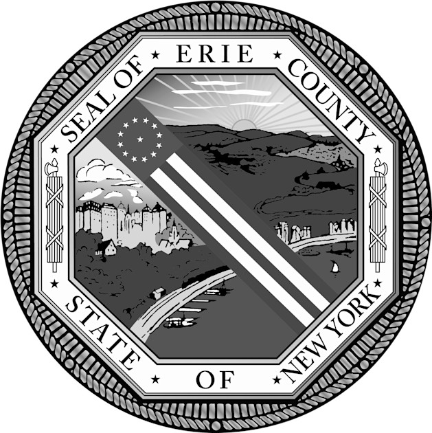 Erie County Supporter Buffalo International Film Festival